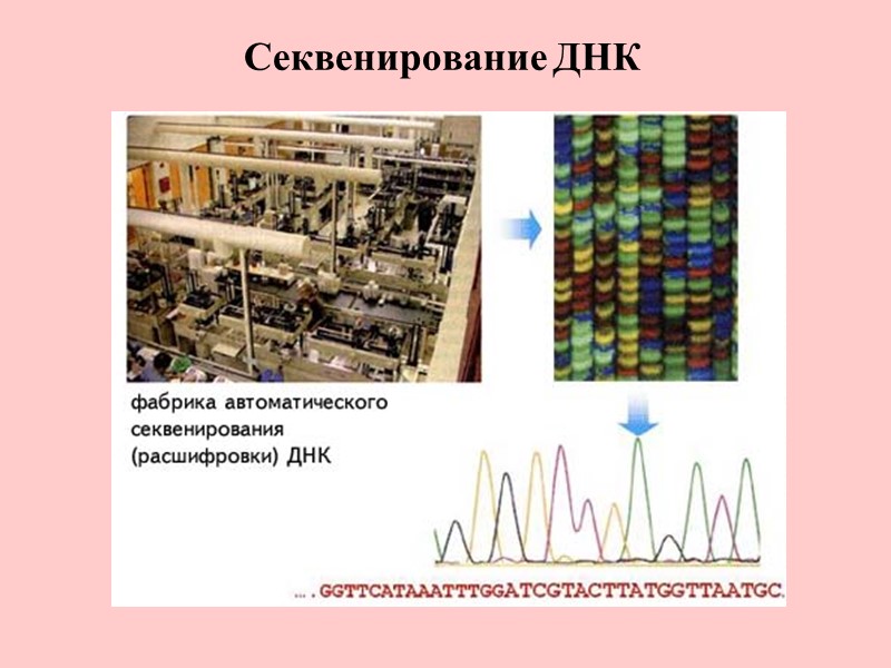 Секвенирование ДНК